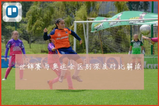 世锦赛与奥运会区别深度对比解读